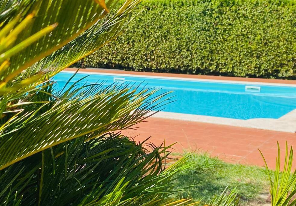 Apartamento Casa Belmoro Con Piscina Pescia Exterior foto